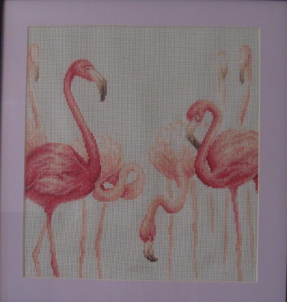 Фламинго