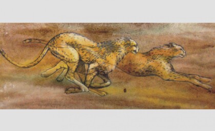 Бег гепарда