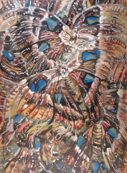 бабочка Атлас