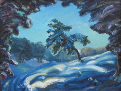 Застыл в полёте