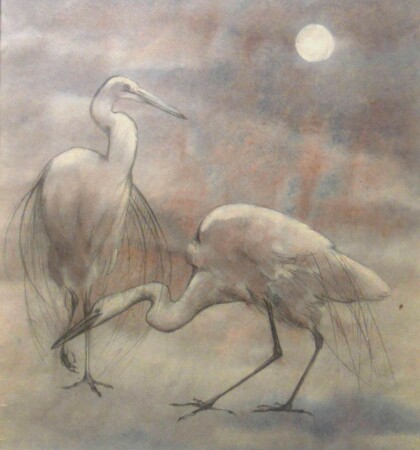 Танец белых птиц