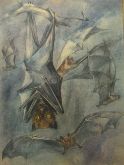 Летучие лисицы