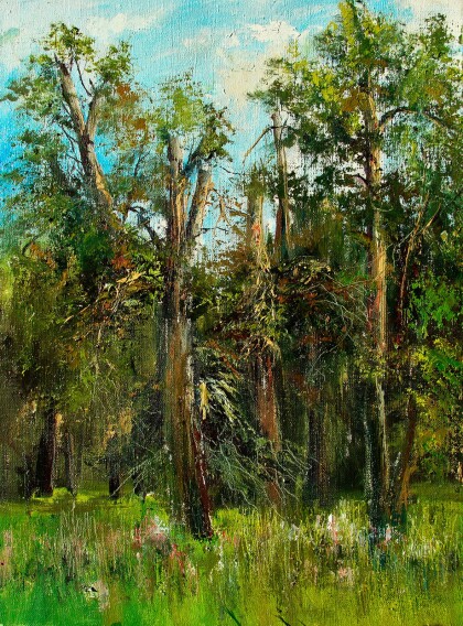 Парк поместья в Слубицах