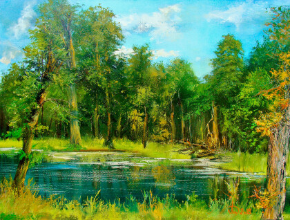 Пруд в Слубицах