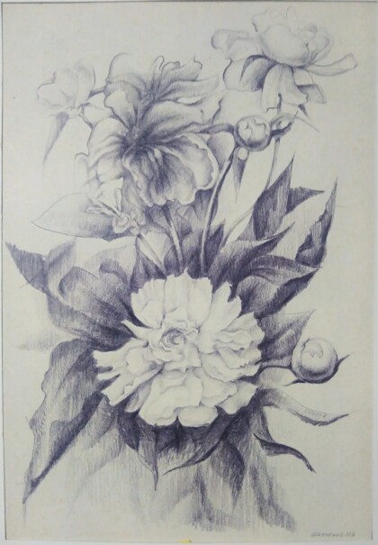 ночные цветы