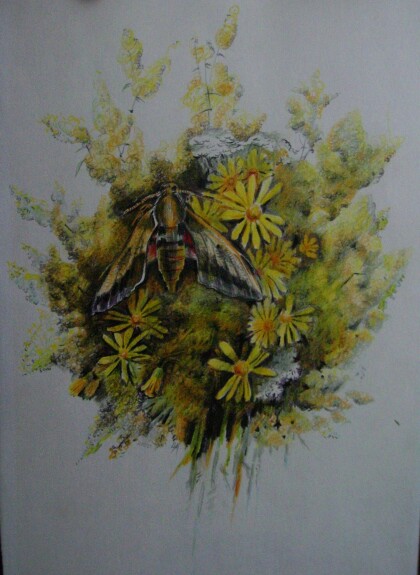 Летний букет