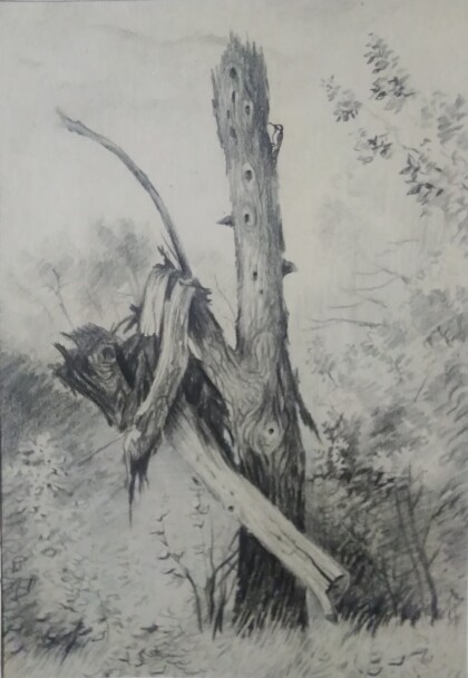 Подарок тёще