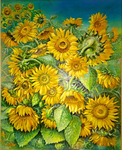 Подсолнухи