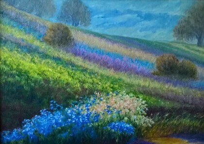 Цветы луговые