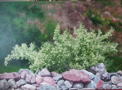 Цветущий кустарник