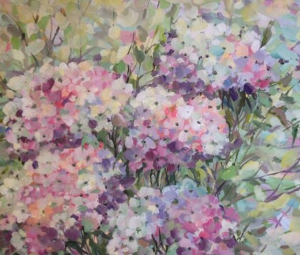 Гортензия в Сочи