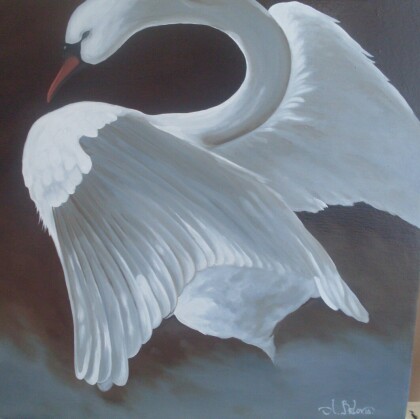 Белый лебедь