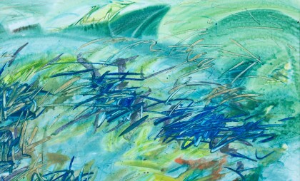 Ночные видения