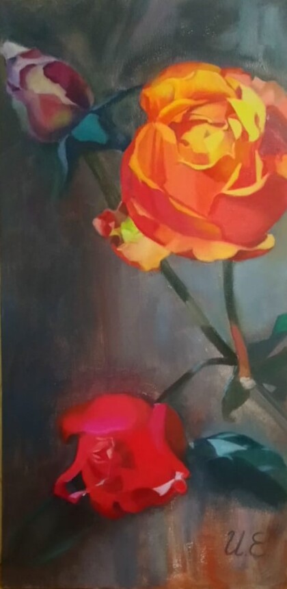 Садовые Розы