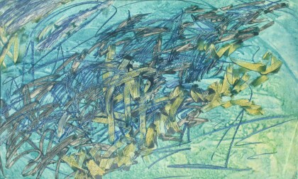 Тень корабля