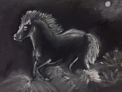 Ночная прогулка