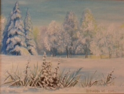 Морозный  день