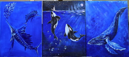 обитатели морей