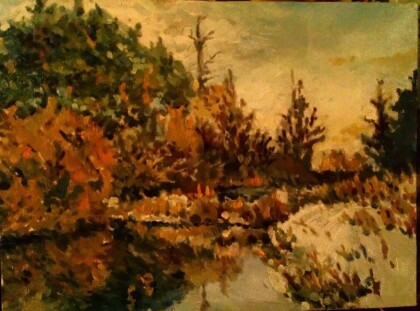 На пруду. Первый снег.