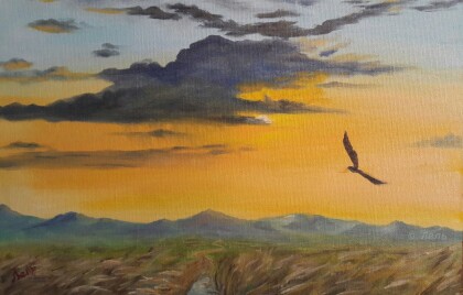 Степное небо