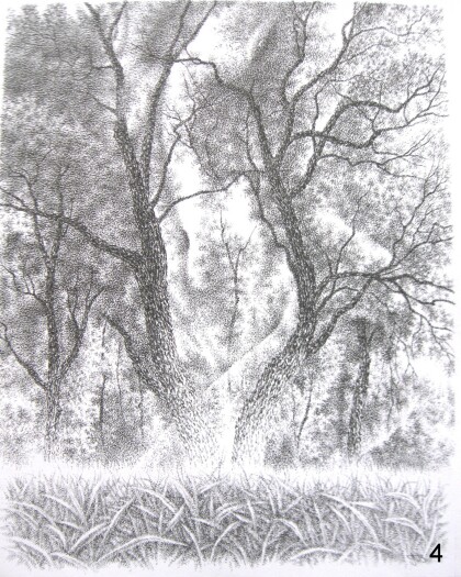 Без названия