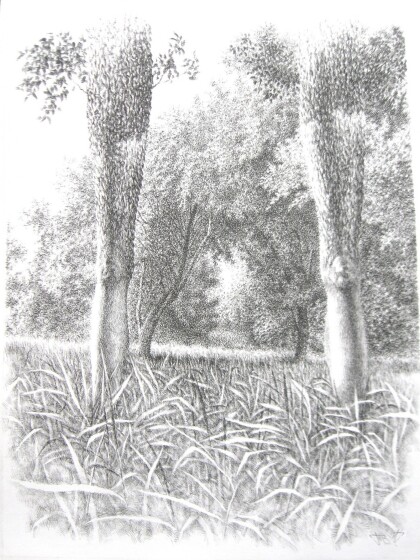 Ноги от природы