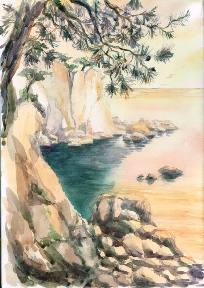 Крым. Сосны в Тихой бухте.