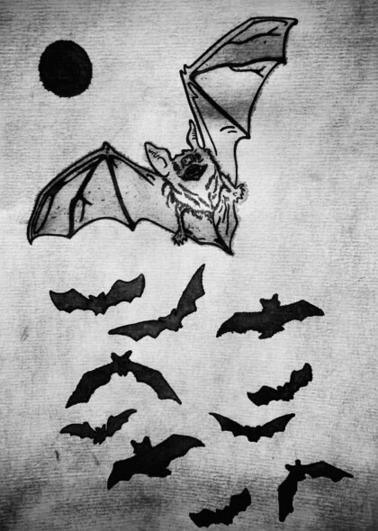 Полнолуние