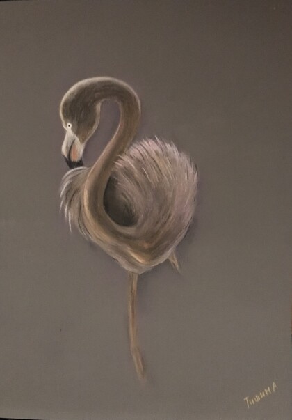 Одинокий фламинго