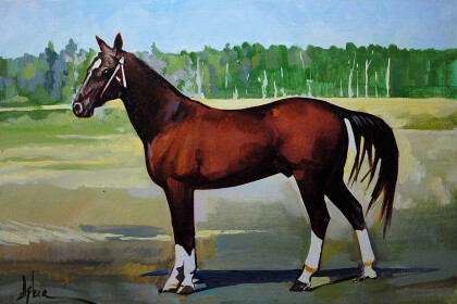 «Селяночка»