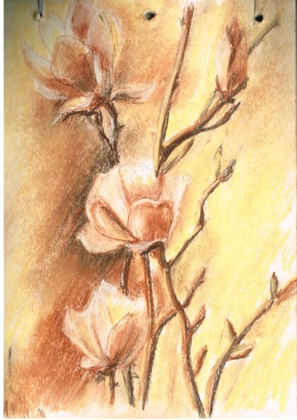 Цветут магнолии...