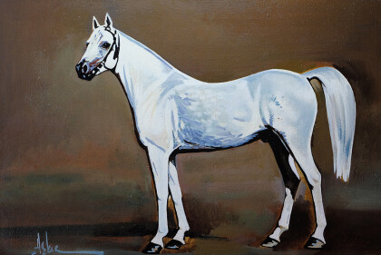 «Снежинка»