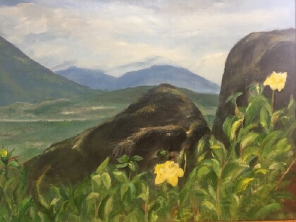 Розы на холмах