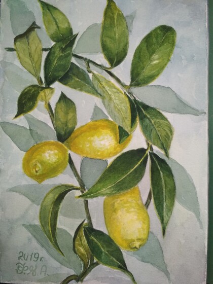 Лимоны на веточке