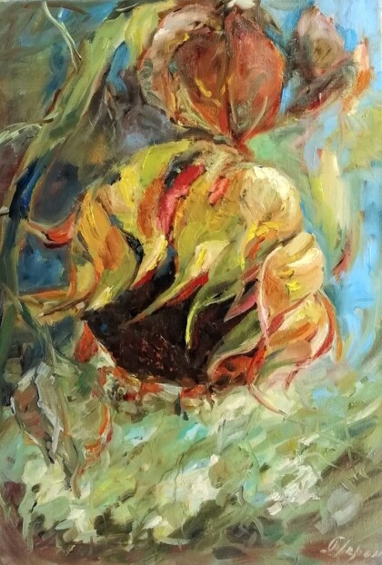 Подсолнух созрел.