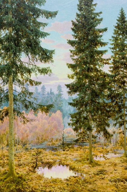 Край болота