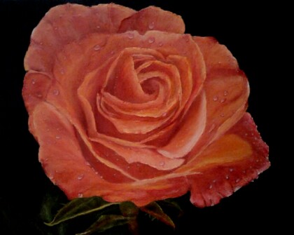 Роза интерьерная