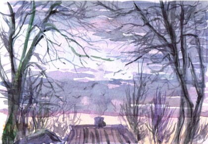 Вид из окна. Сумерки...