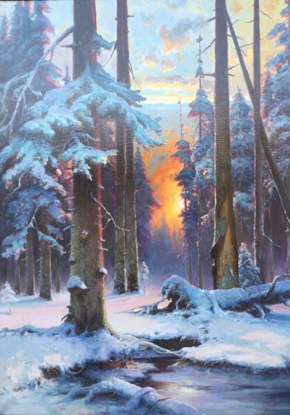 Закат в еловом лесу