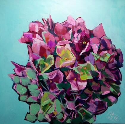 Гортензия фиолетовая