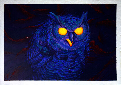 Космическая Сова