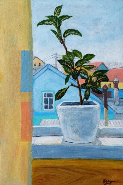 Лаврушка на окне