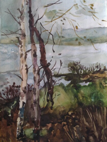 Берёзки на берегу