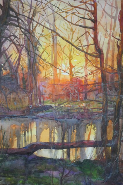 Закат солнца в лесу