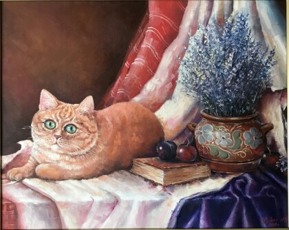 Пушистый домосед