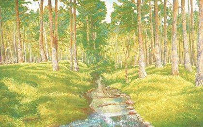 сосновый лес в башиле