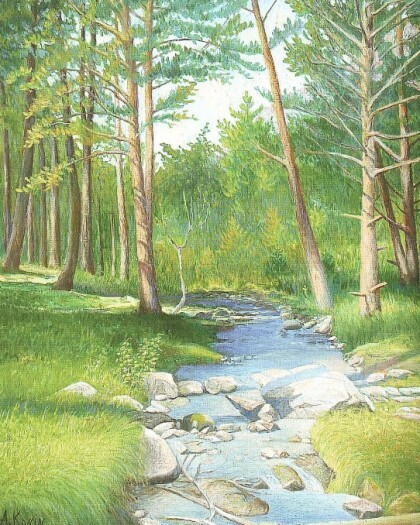 лес в ущелье башиль