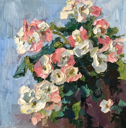 Нежная бегония