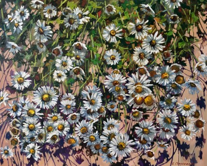 На ромашковом поле