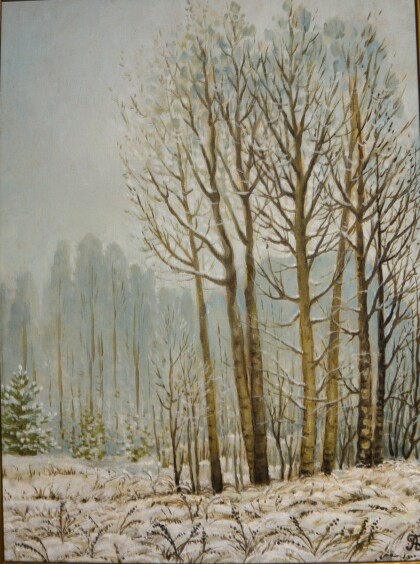 Псковский зимний лес